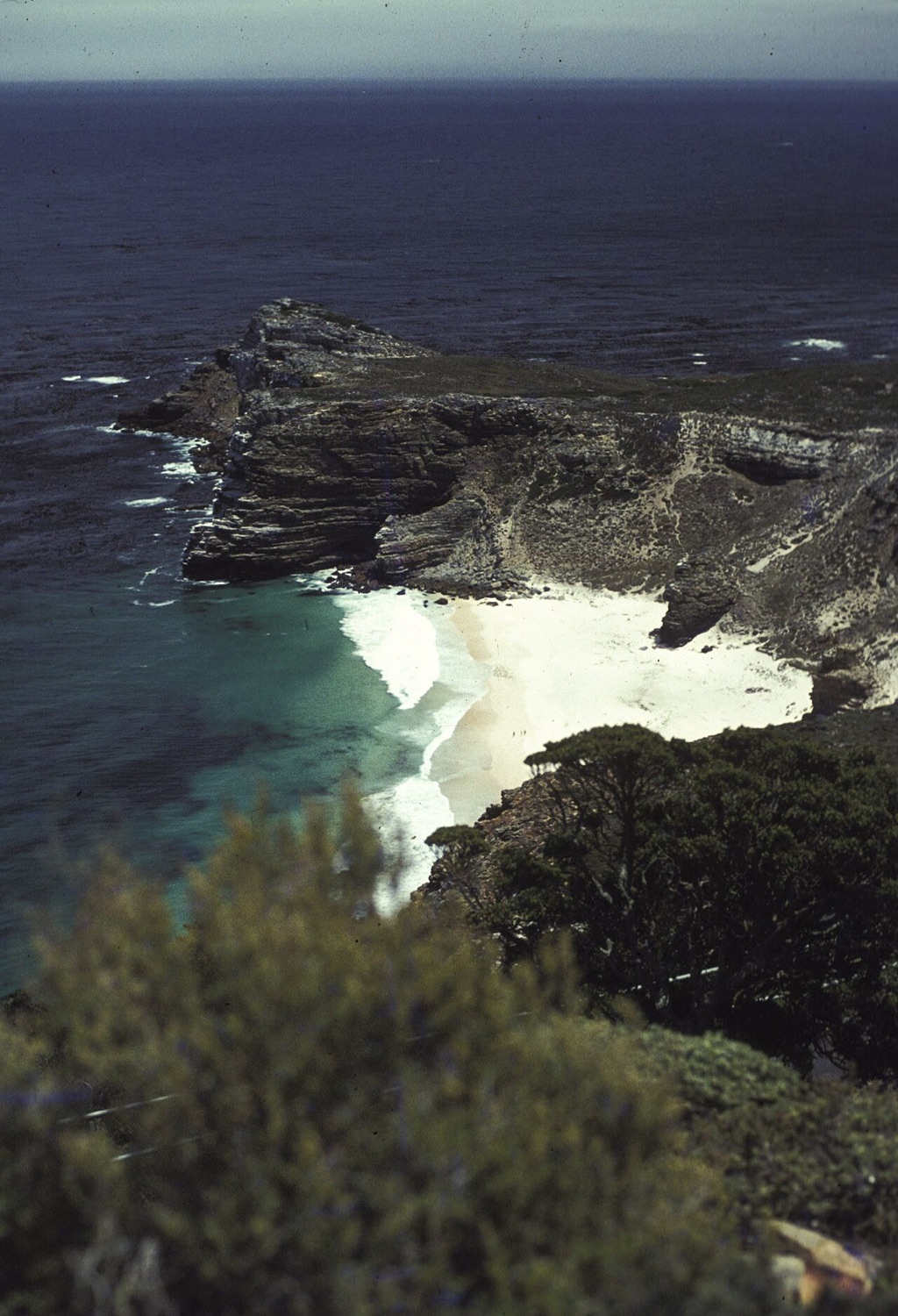 The Cape Peninsula, 1983